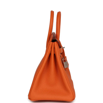 Birkin 25 Orange Togo Palladium Hardware